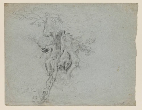Works of August Lucas. 1 Self portrait, 1821. 2 Study of an old tree. 3 Tree trunk with ivy and moun