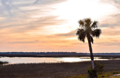 Peace. #aphotofunworld #landscapephotography #seascape #tybeeisland #ga #outdoorescapade #travel #ju