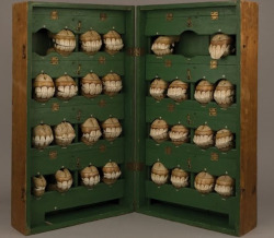 sixpenceee:  This collection of 29 horses’ teeth was assembled by Louis Auzoux (1797-1880), a French doctor who made models of humans, animals and plants for use in teaching medicine and anatomy.They demonstrate how horses’ teeth age, the effects