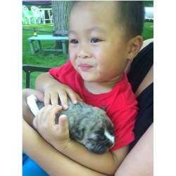 If you&rsquo;re having a bad day, here&rsquo;s a two year old baby holding a 17 day old puppy. #lifeisgood (at Upstate New York)