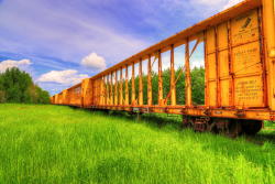 :  Abandoned train. Alberta, Canada. 