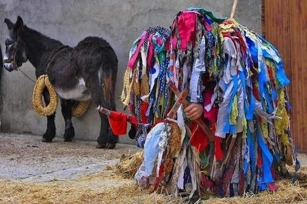 El burro alistano y los Carochos
