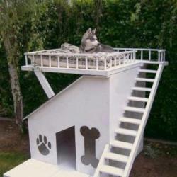 Best doghouse ever…