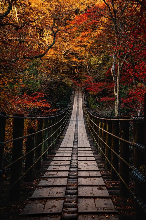 j-k-i-ng:“Untitled” by  |  (Zookomi0124)   Hananuki Valley, Ibaraki Prefecture, Japan