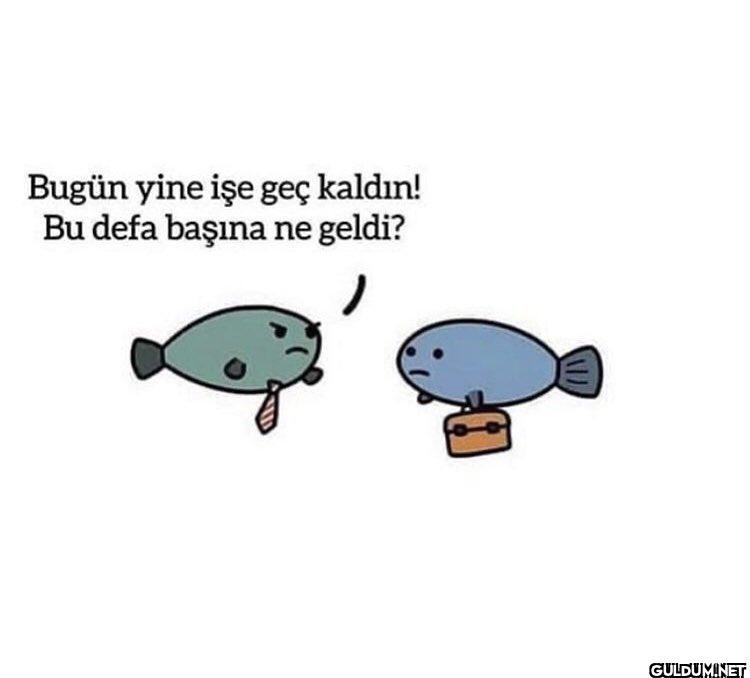 Bugün yine işe geç kaldın!...