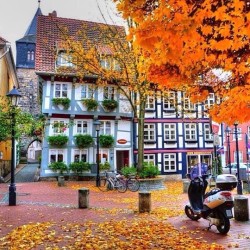 wheredoyoutravel:  Golden autumn in Europe.