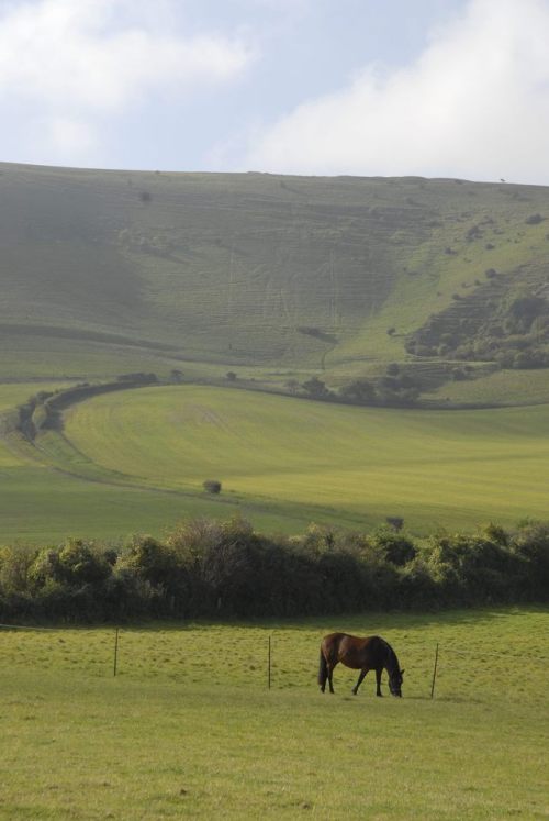 Near WIlmington, East Sussex, the Long Man of Wilmington, just barely visible on the hillside becaus