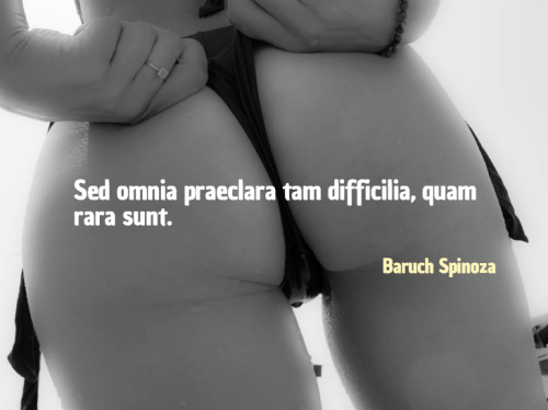  Sed omnia praeclara tam difficilia, quam rara sunt - Tutte le cose eccellenti sono tanto difficili,