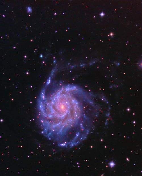 galaxyshmalaxy: M101 (Pinwheel Galaxy) - 10 May 13 (by Astro Steve)