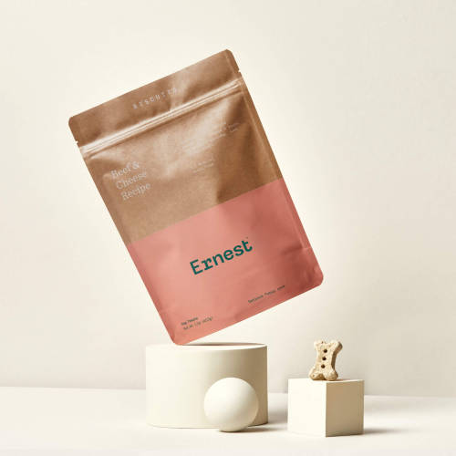 Branding & Packaging for Ernest by Perky BrosErnest is serious about making pet care easy and fu