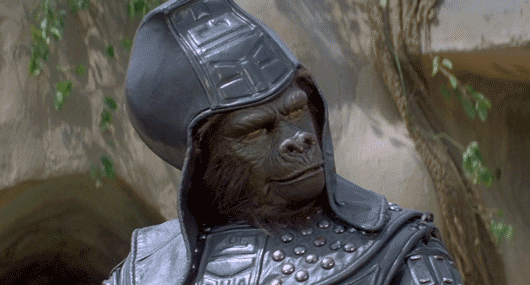 tumblr_pc8bw0canO1x6m6njo1_540.gif