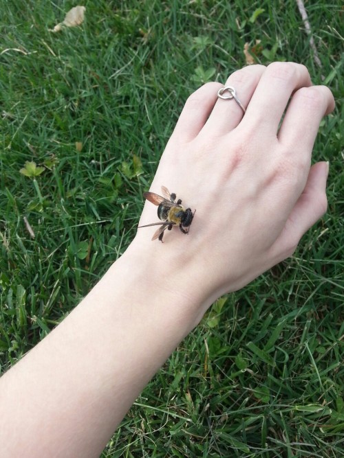 boymoths:trust