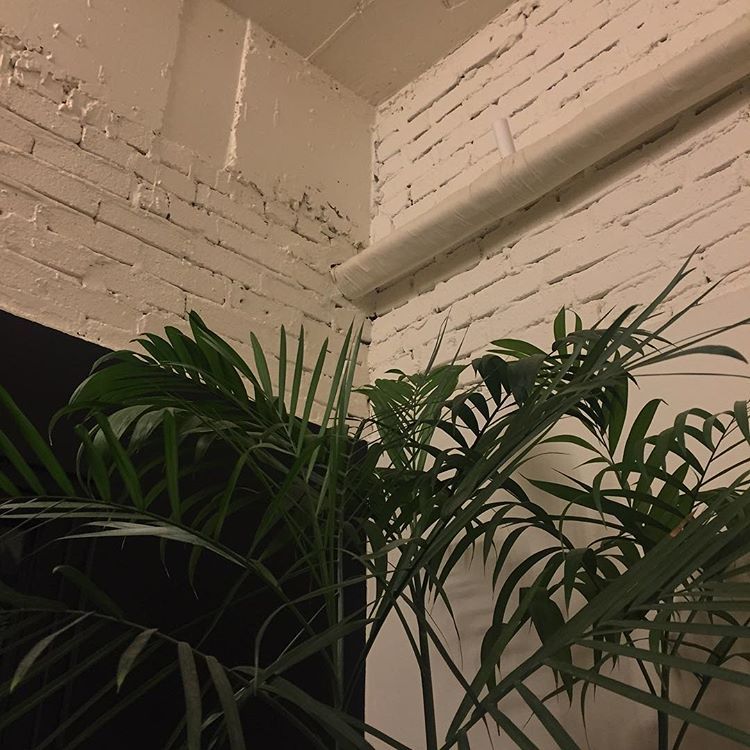 henrismatisse:marigrey.j
