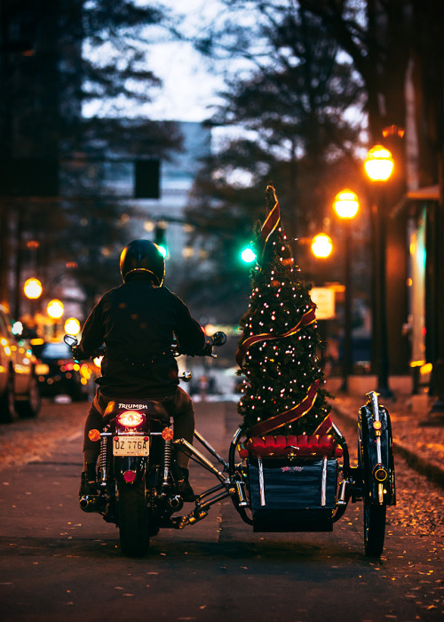 Christmas is better with a sidecar. 