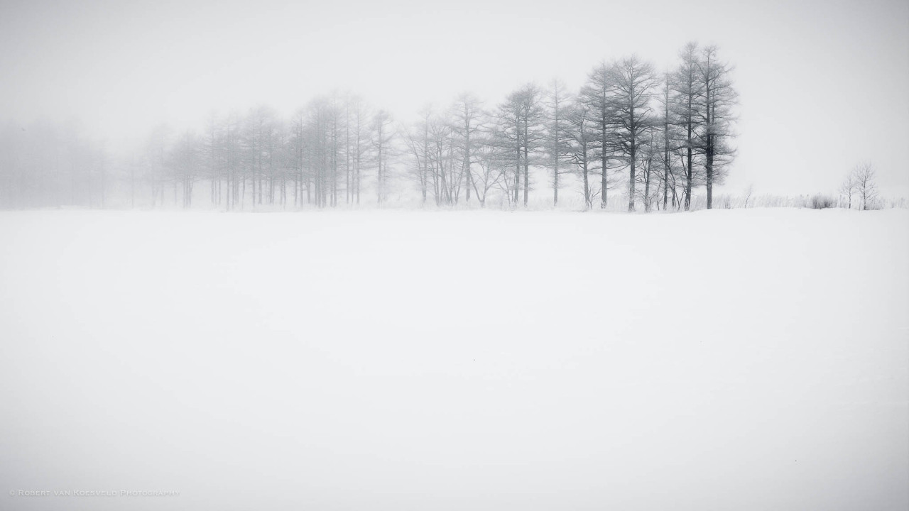 learningtosee:  Japan Landscape 1  (another short series) 