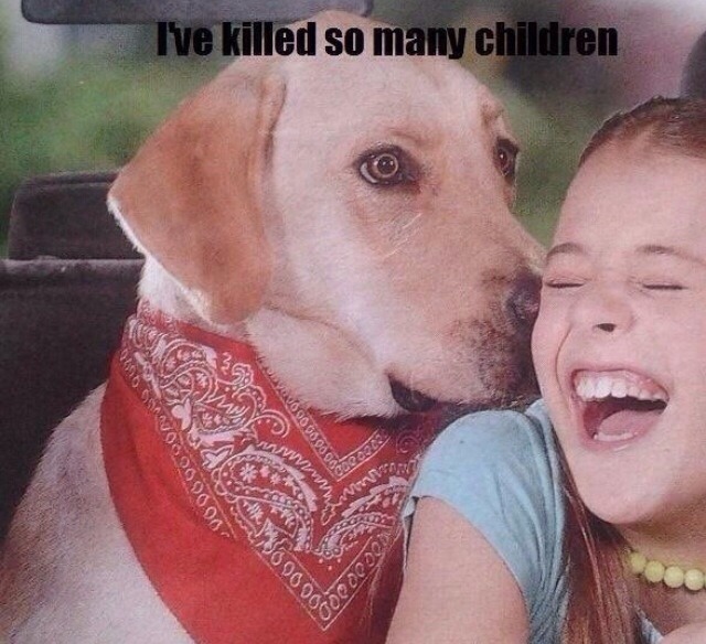 thebest-memes:&ldquo;Just another victim&rdquo;