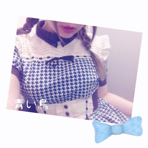 #Haco. 本月の洋服 #青い鳥