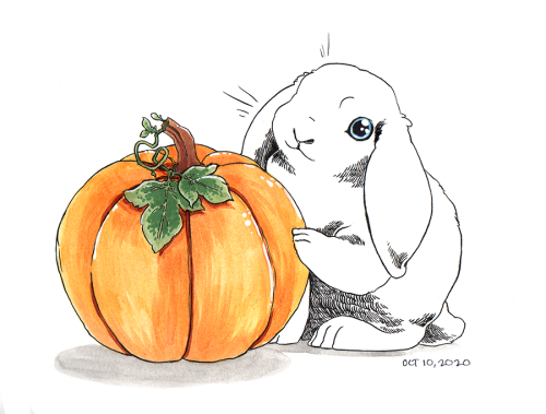 Happy Bunday! Fall treats for everybun! Ko-fi | Patreon 