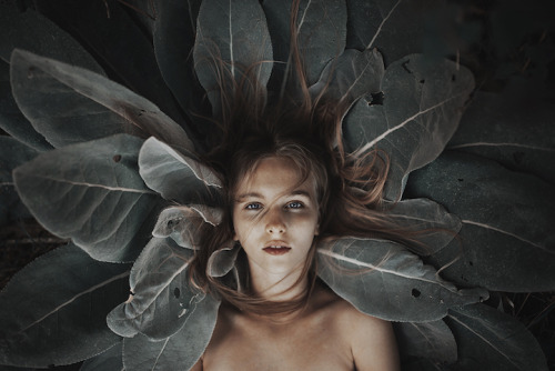 mymodernmet:Interview: Alessio Albi’s Evocative Portraits Blend the Natural Beauty of Women with Nat