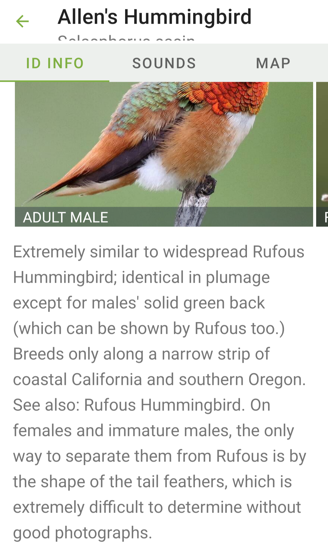 Birdwalk Inventory 2022-04-02It was very overcast today. Went in the early evening again, still bright out. Changed route and followed the birdsong instead of sticking to the same circle. Walk was ~30 minutes this time and I broke a bit of a sweat.I saw:-