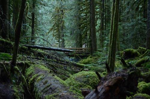 benrafalskiphotography: Hiking along the Salmon River