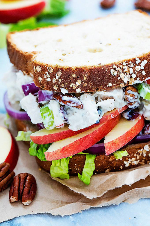 do-not-touch-my-food:  Apple Pecan Chicken Salad  Say what Apples in your sammich?! Maybe you would like that?