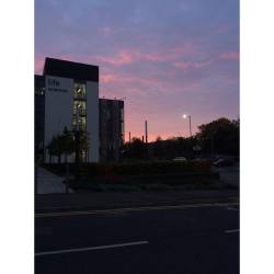 waitingforthesummerrain:  This photo has two of my passions in it, pink skies and life sciences 🌚💗 (at Dundee University, College of Life Sciences)