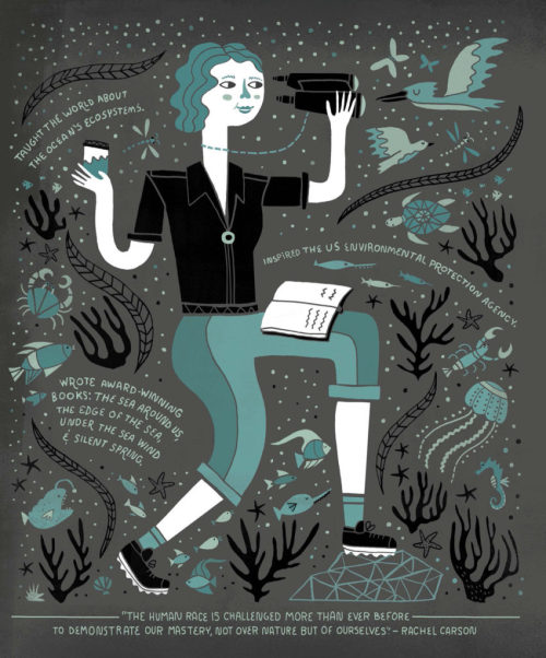  Revolutionary women in science, illustrated by @rachelignotofsky 