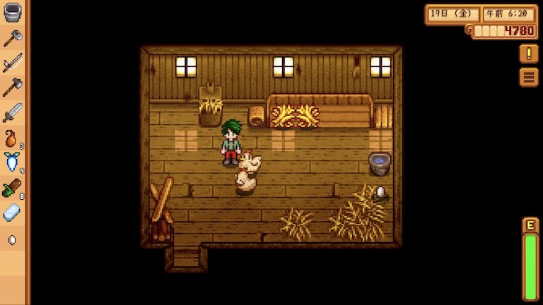 stardew valley スターデューバレー