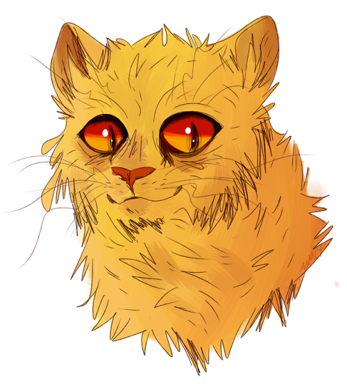 Some Semi-realism With My Medicine Cat Oc, Seedwhisker :-]