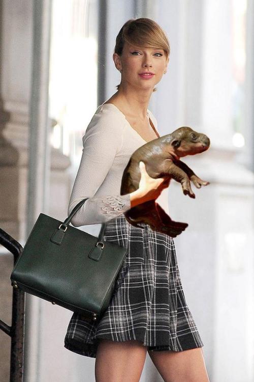 worstcats:Someone sent me this picture of Taylor Swift with her cat. I know she is a celebrity but I