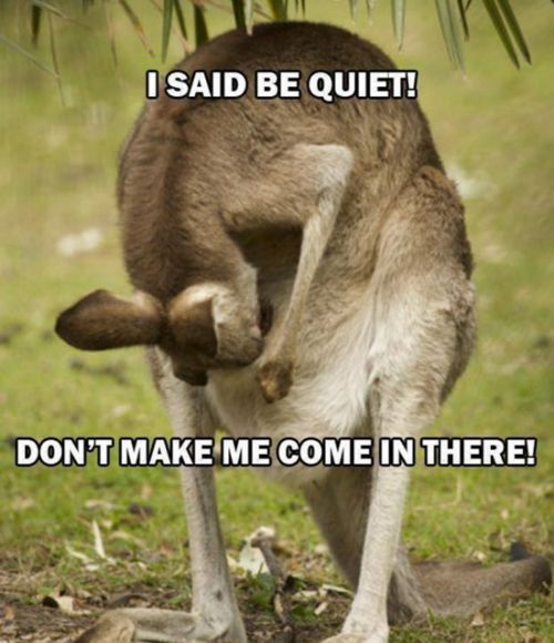 Might be an idle threat