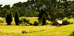 lady-arryn-deactivated20140718:  ✥  3. Three is Company:   “A fox passing through