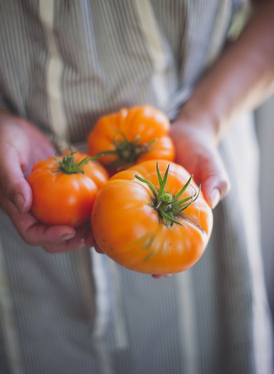 This week we’re giving away heirloom tomatoes to every customer who is ordering for the first time to welcome them to the Good Eggs community!
peone:
“ Heirloom Tomato Salad with Burrata Cheese | White on Rice Couple
”