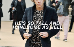 hayloredits: Harry Styles + 1989 Lyrics 