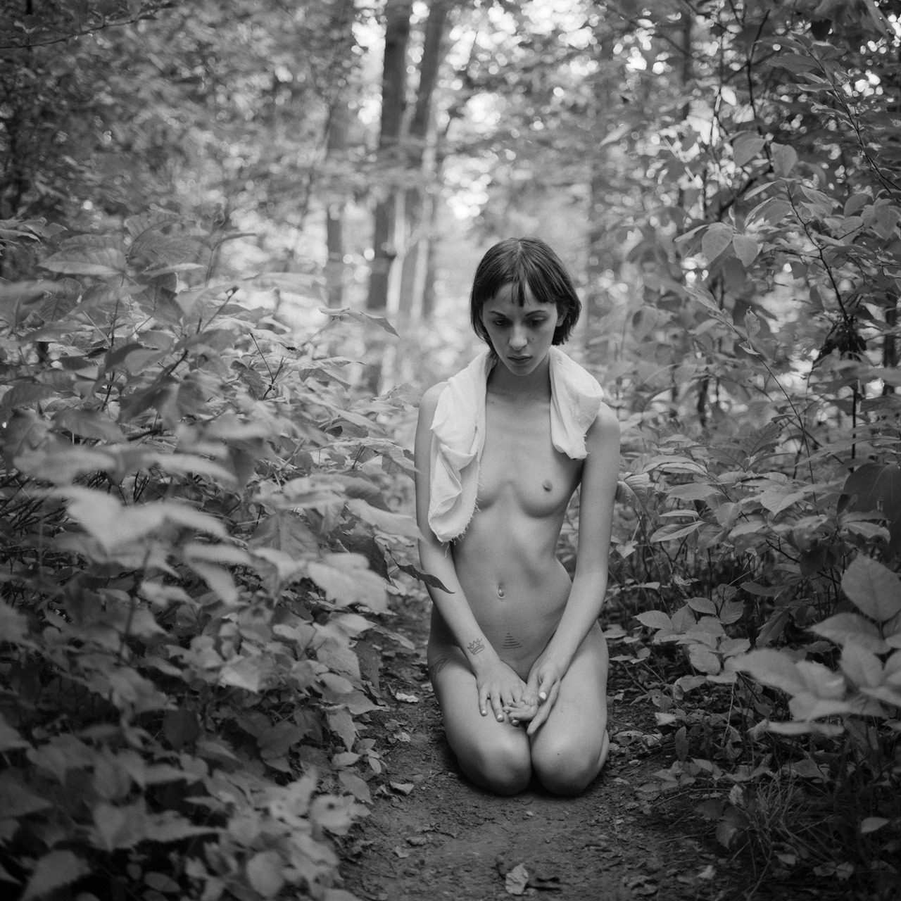 iswya:  Inwood Hill Park - kn-01-13- Purchase signed and numbered gallery quality