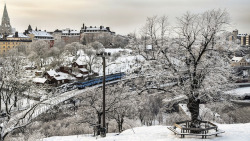 scandinavia-mania:  Saltsjöbanan in Stockholm, Sweden 12/1 2010 by photoola on Flickr.