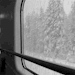 ilsilenteloquaceblog:— Dicembre era finalmente giunto e con esso anche laprima, abbondante nevicata.Questo non le aveva peròimpedito di prendere il trenoper INCONTRARLO, come da anni succedeva, al SOLITO POSTO, due settimane prima di Natale. Sebbene