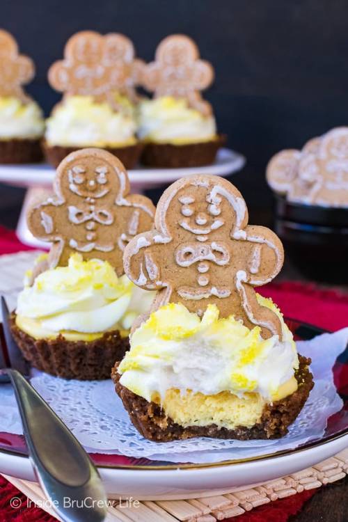 LEMON GINGERSNAP CHEESECAKE TARTS