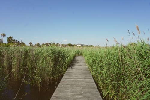 Seabrook Island, South Carolina