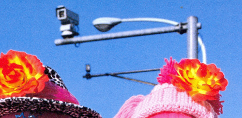 docpile:photo by shoichi aoki from fruits 04/2001these photos are part of a series of visual essays 
