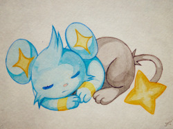 artricahearts:  Shinx line! 