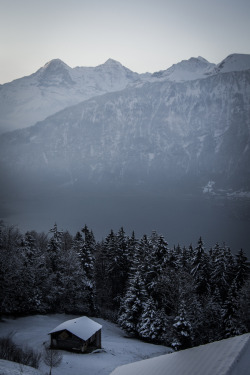h4ilsham:  Swiss Alps at Sunrise #2 (by Breonikonista)