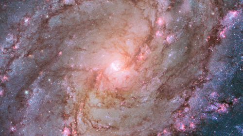 saapasjalkakissa-tg:  Spiral galaxy M83Credit: NASA, ESA  