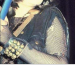 XXX legendarytragedynacho:Siouxsie Sioux photo