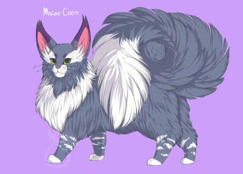 nationalpokedex:cheeziesart:since everyone’s doing it, here’s some variations on Purugly. I’ve never loved this dumb cat more than I do now. Purugly needs all the love.please do not repost or redistribute on other websites.I love this new trend!!!