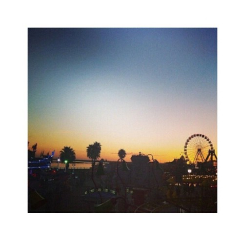 Freedom