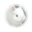 s3xwithagh0st