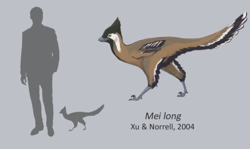 extinction-illustrated