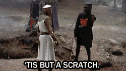 leopardheart27:  Let us strive to be as determined as the black knight in all our